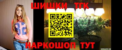 крисы Партизанск
