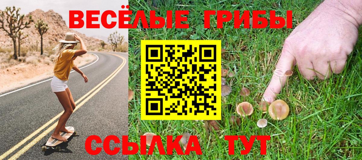 Псилоцибиновые грибы GOLDEN TEACHER  Вход с VPN  Славянск-на-Кубани  Галлюциногенные грибы GOLDEN TEACHER 