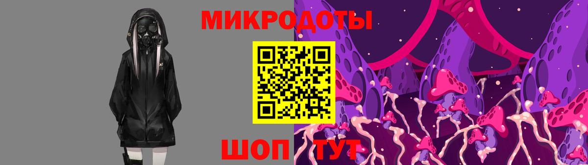 Псилоцибиновые грибы мухоморы Славянск-на-Кубани
